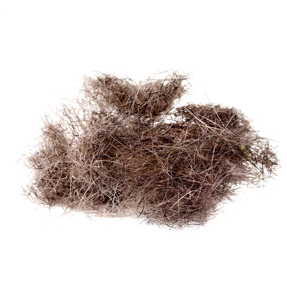10 dark brown