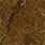 brown olive