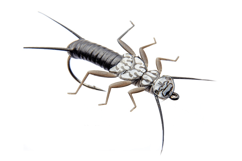json_stonefly-nymph-1-black