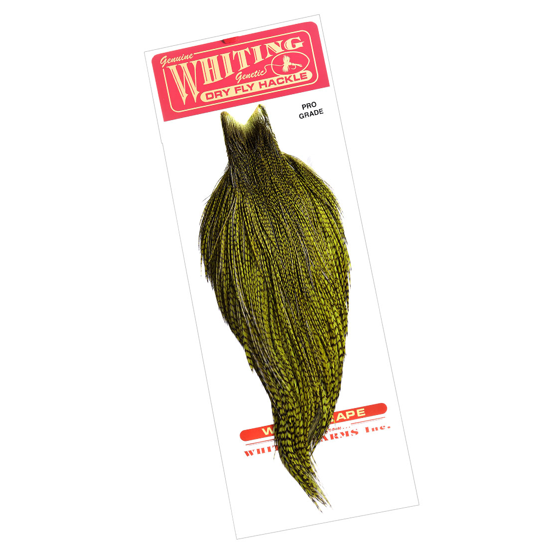 grizzly dyed dark olive