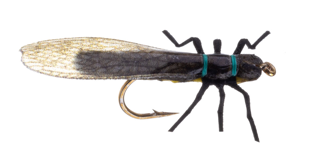 P-15618_Vania-Realistic-Skwalla-Dryfly_1 Vania Realistic Skwalla Trockenfliege
