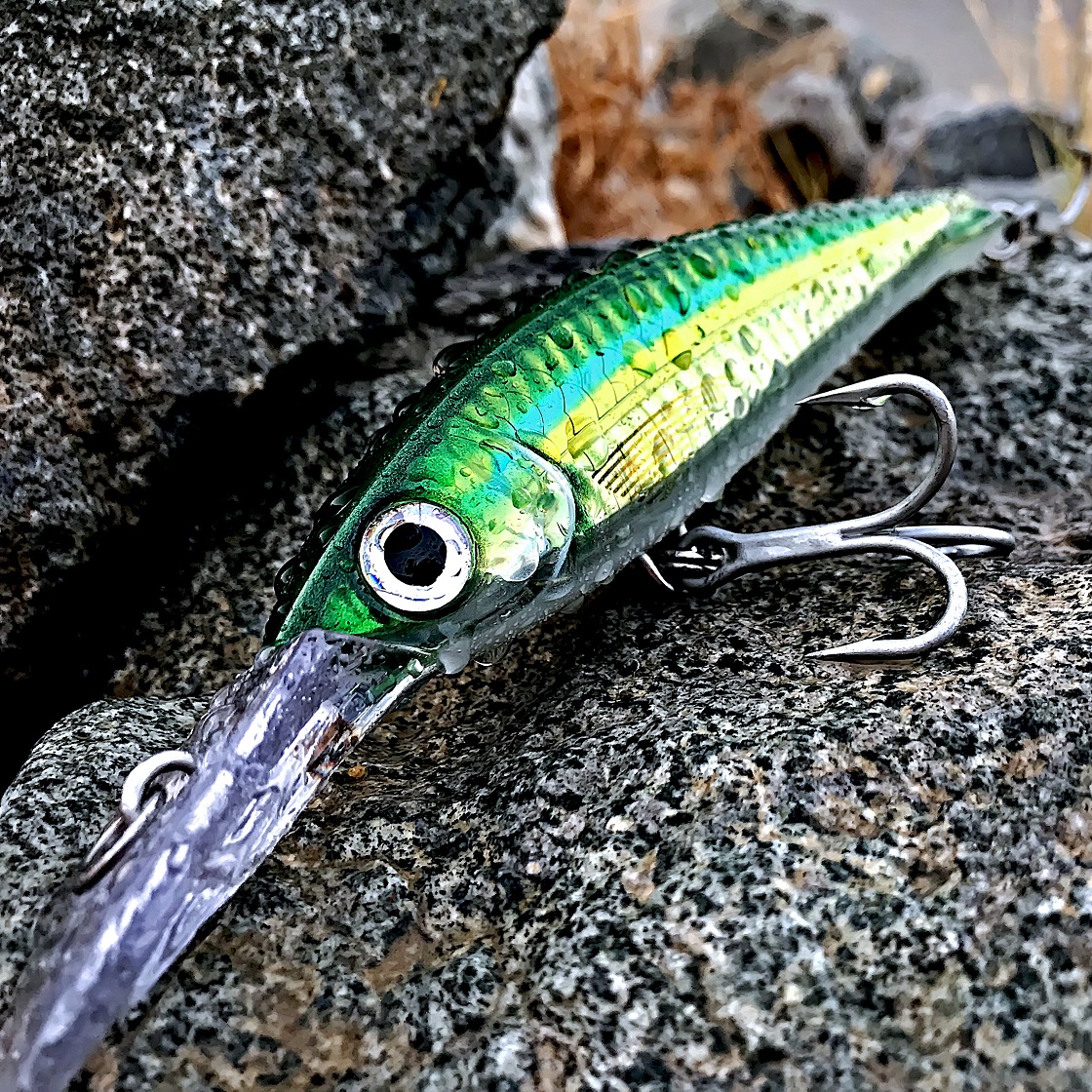 HD Bigeye Scad