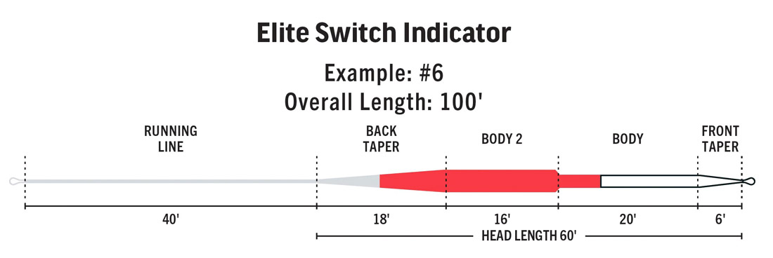 P-20047_Rio-Elite_Switch_Indicator_taper