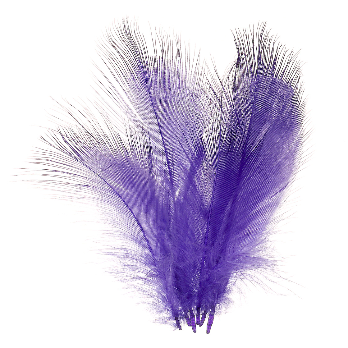 mikkeli purple