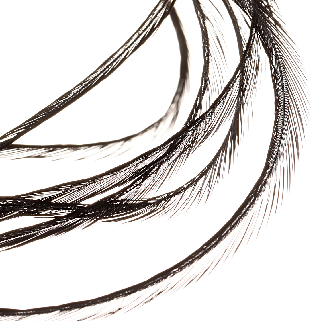 P-17434-3_soldarini_genetic-saddle-hackles_federn_black_detail black