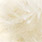 04 light brown
