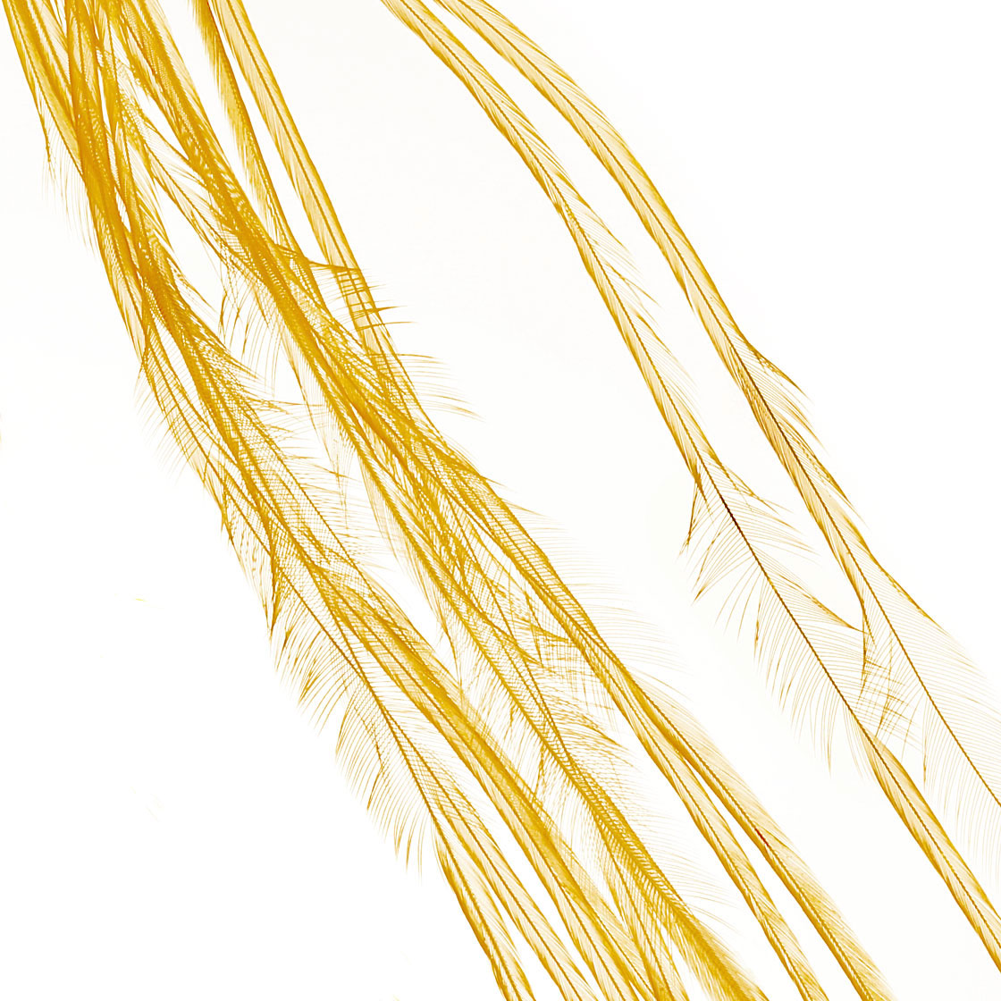 golden straw
