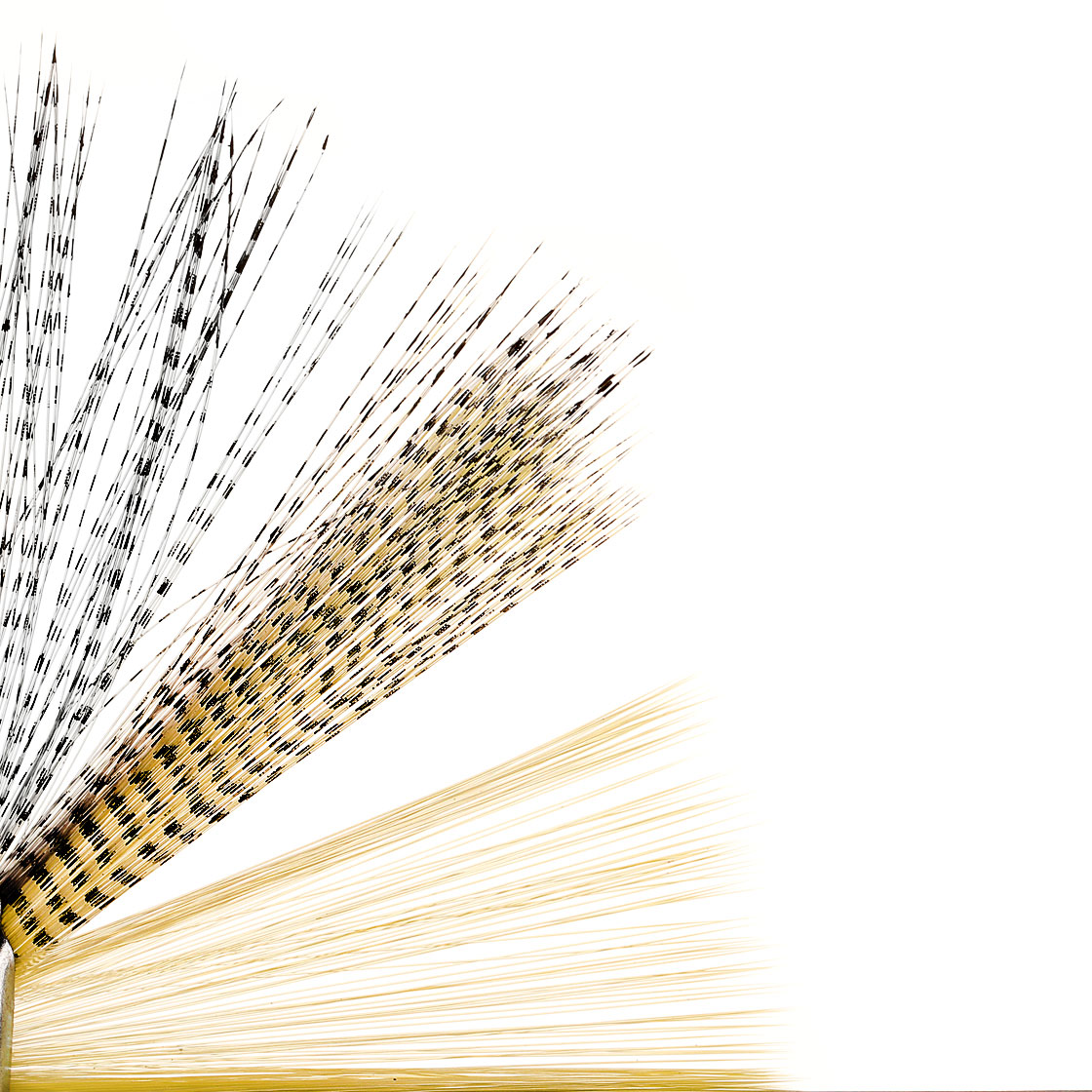 P-17454_soldarini_microfibbets_titel