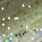 glitter bomb