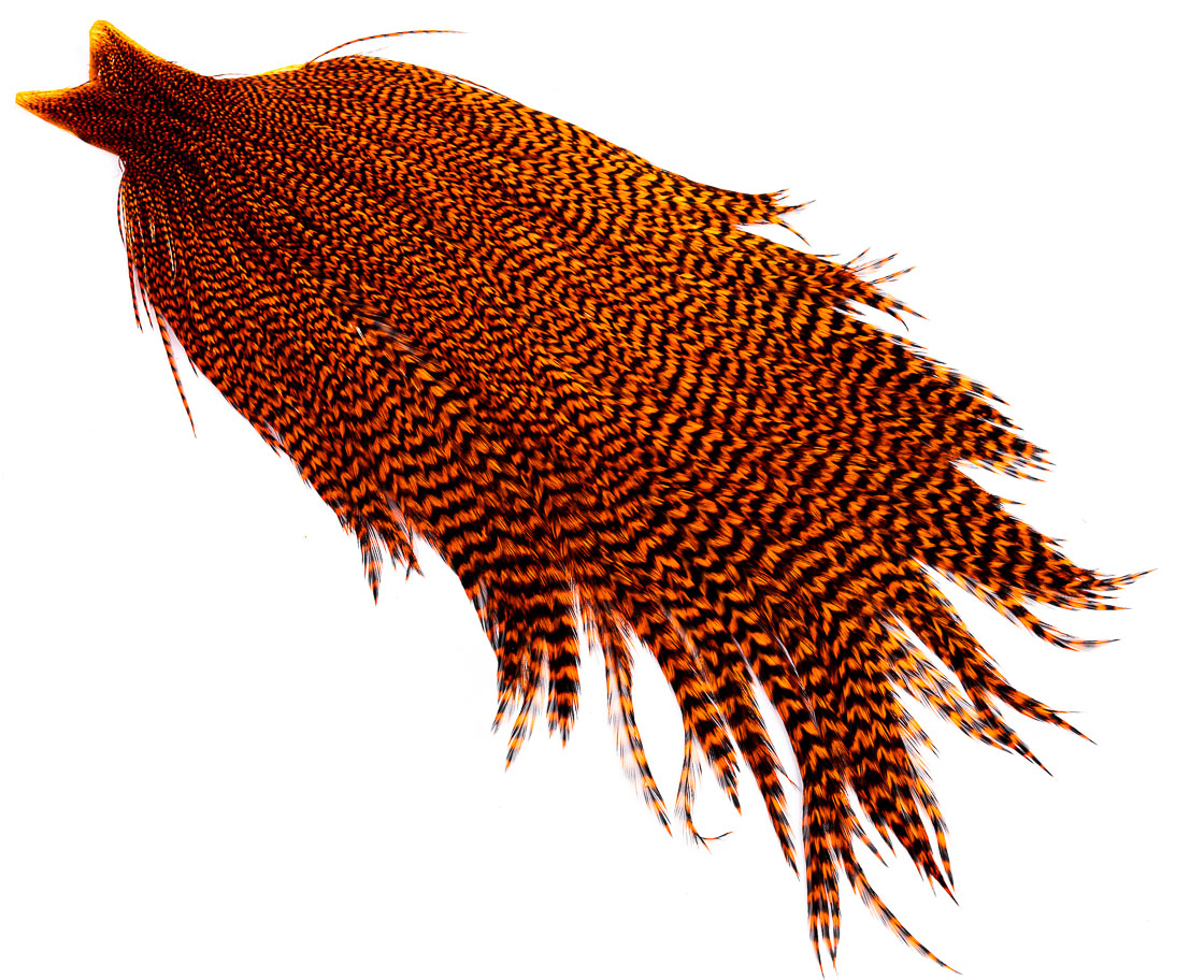 grizzly orange