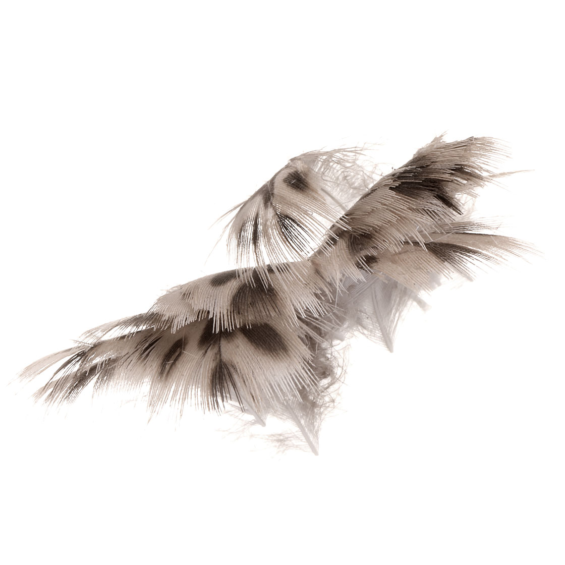 P-17432_soldarini_mallard_hen_breast_federn