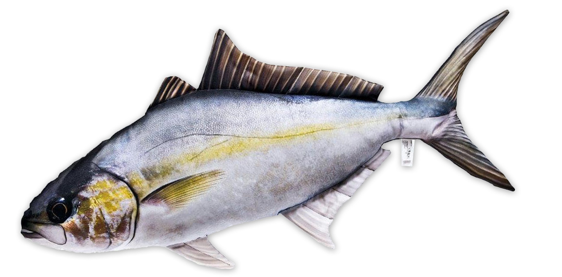 P-29190_Fischkissen_Kuscheltier_Amberjack_105cm_1 Fischkissen Kuscheltier Amberjack 105cm