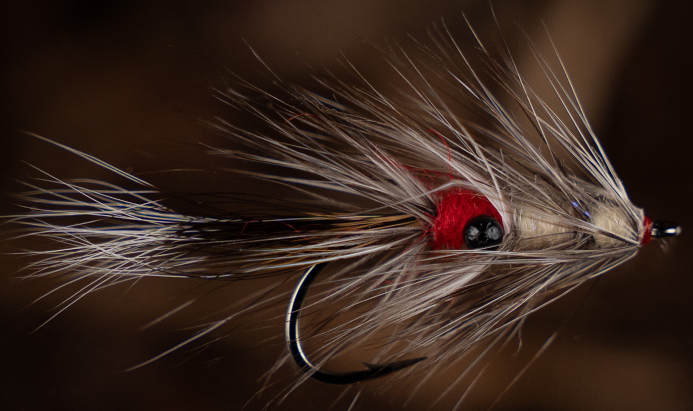 Future Fly Vaske Bjorn Meerforellenfliege