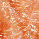 peachy flesh
