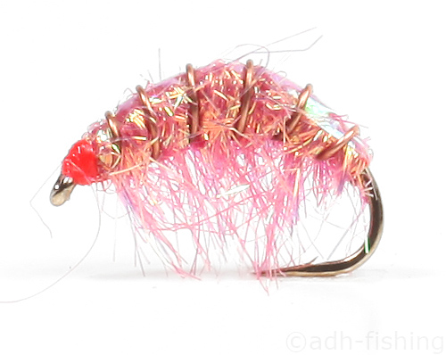 litebright-shrimp-detail