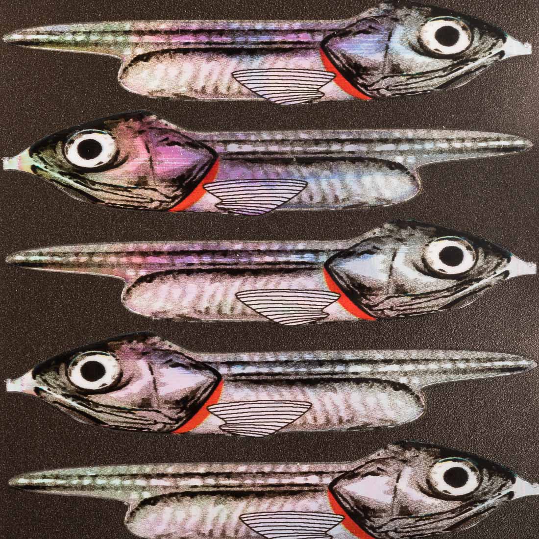 pro-sportfisher-candy-foils-silver-holographic