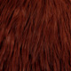 white dyed coachman brown