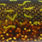 motoroil pike