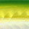 chartreuse diamond
