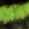 chartreuse-black