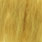 golden olive