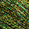 6975 olive