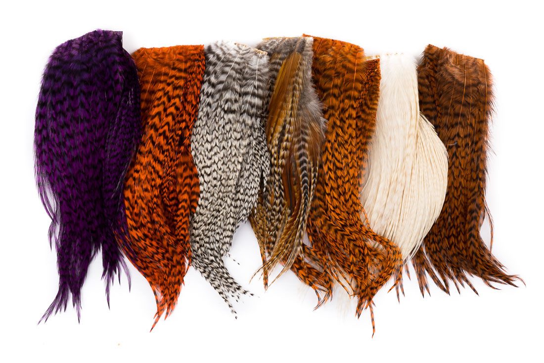 whiting_bugger_pk_title_2