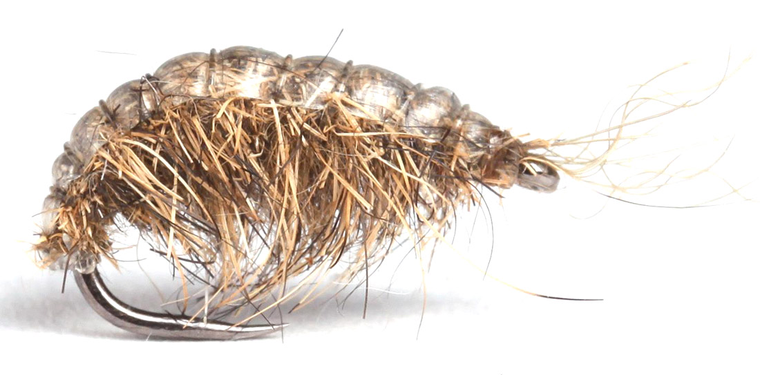 Guideline_Nymphe_Scud_natural Bindebeispiel