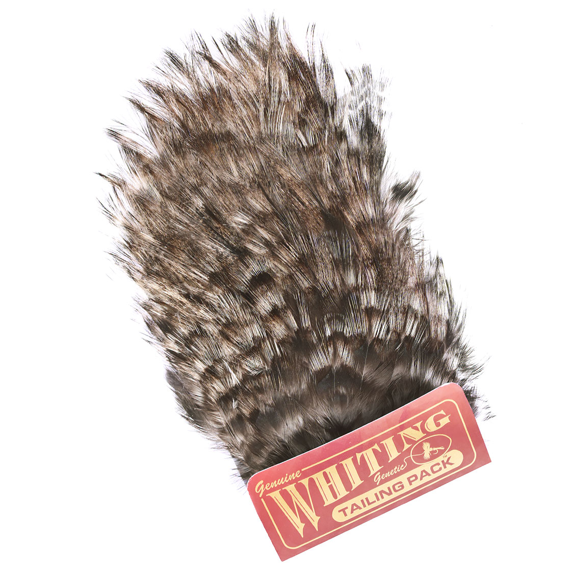P-25396-4_Whiting-Coq-de-Leon-Tailing-Pack_grizzly-pardo grizzly pardo