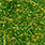golden olive