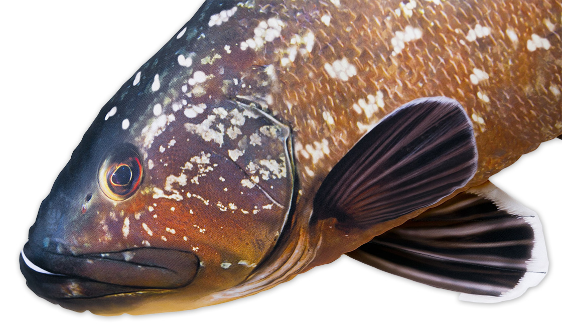 P-29200_Fischkissen_Kuscheltier_Grouper_100cm_detail