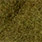 medium olive