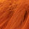 burnt orange