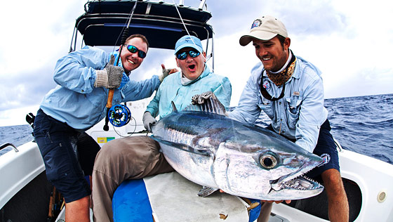 dog_tooth-tuna_alphonse-title.jpg