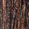 copper black