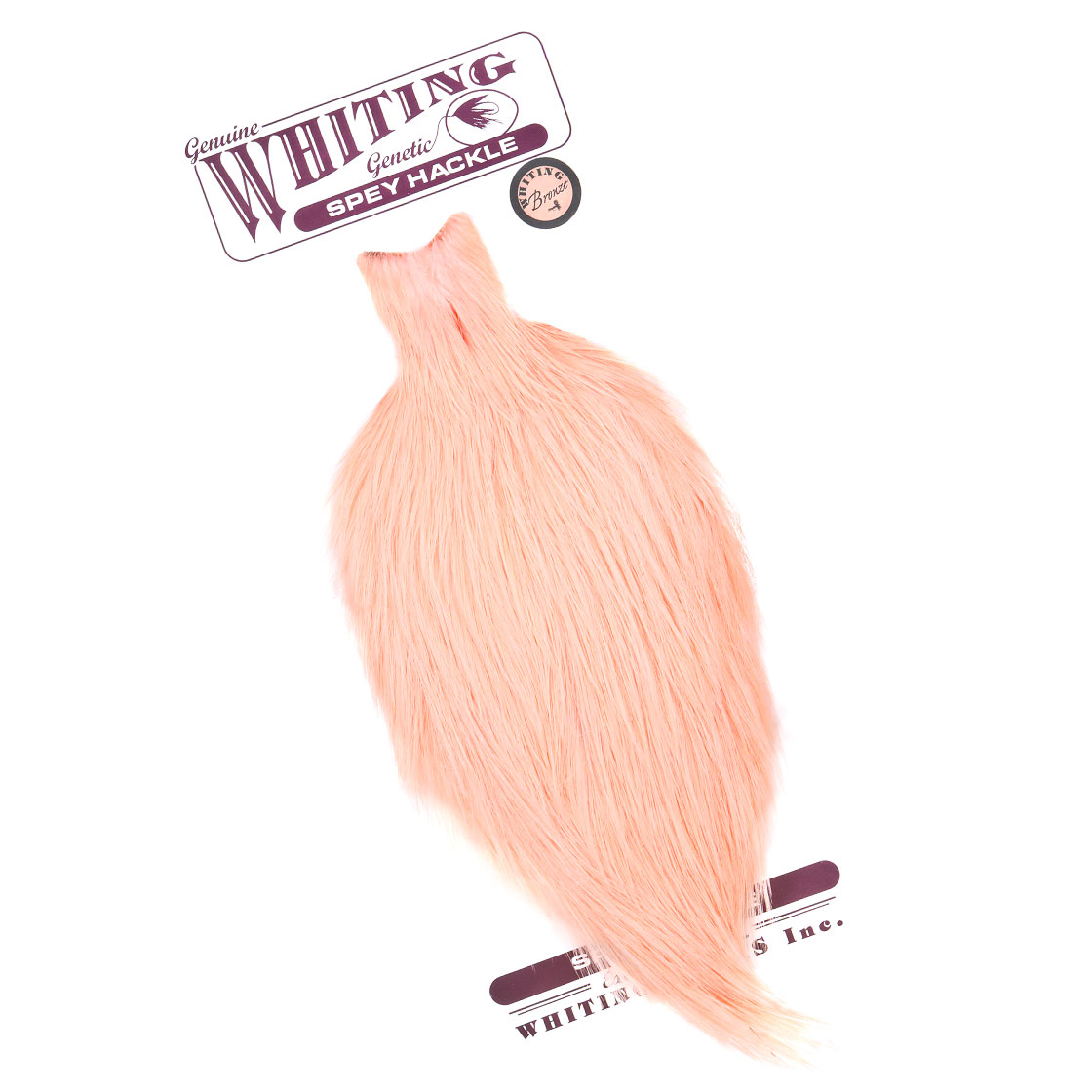 white dyed salmon