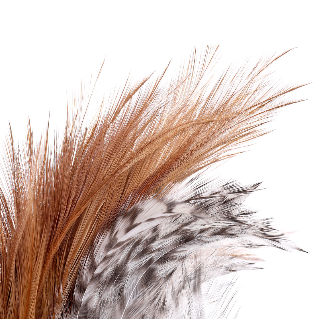 P-25390_Whiting-CDL-Versa-Pack-Combo-Pack-4-1_2-Capes_detail