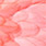 shrimp pink