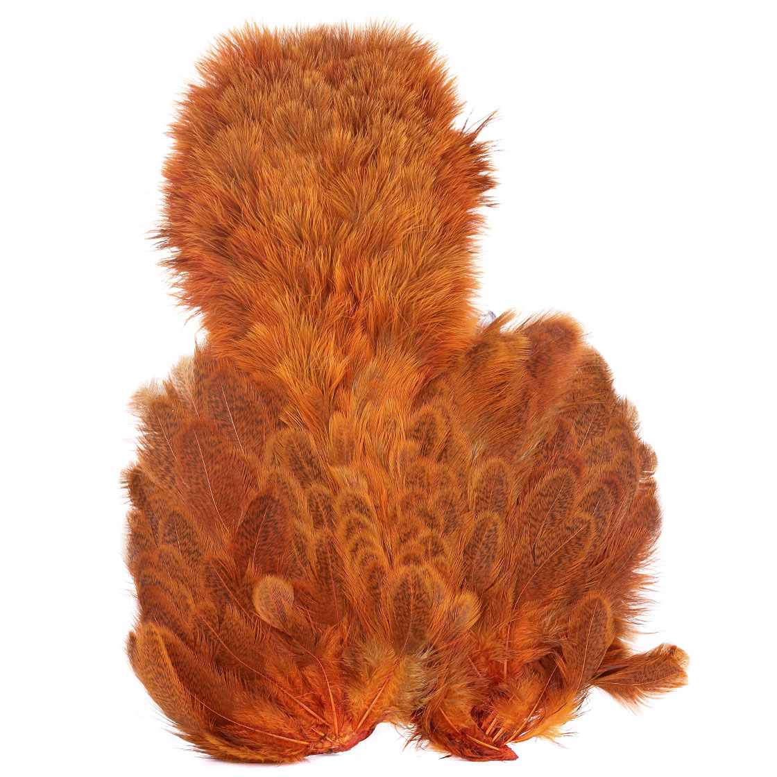 P-25385-2_Whiting-Brahma-Hen-SH_C_speckled-dyed-burnt-orange speckled dyed burnt orange