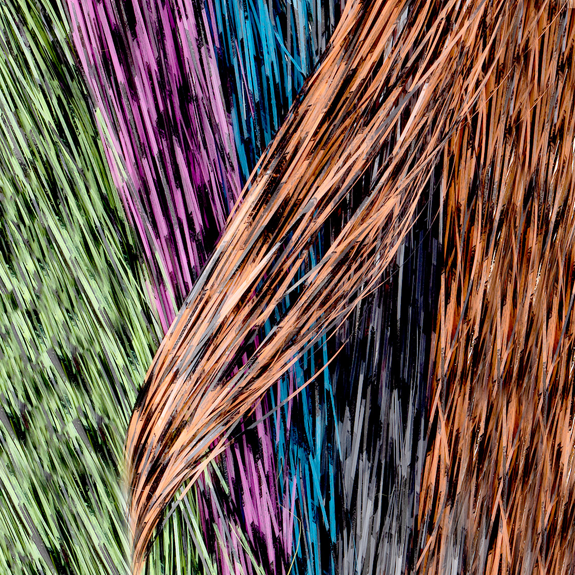 P-07687-Hedron-Grizzly-Barred-Flashabou-titel-neu Hedron Grizzly Barred Flashabou