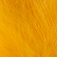 lion yellow