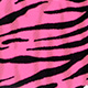 fluo pink barred