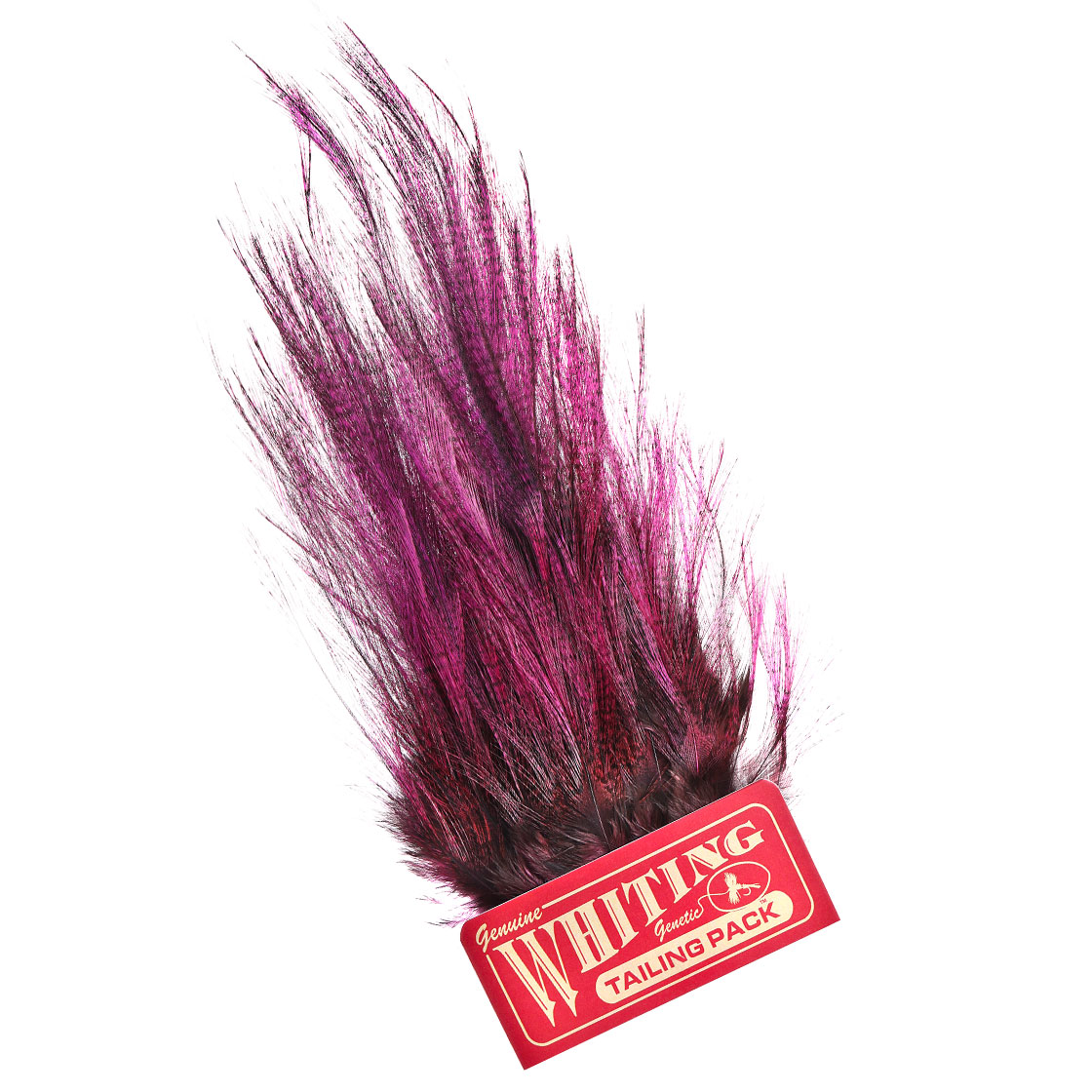 pardo dyed pink