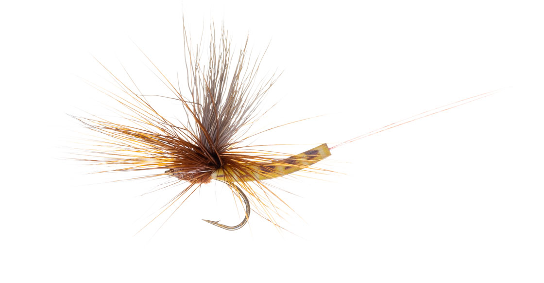 Vania Realistic Mayfly Elk Wing Danica Trockenfliege