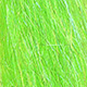 chartreuse