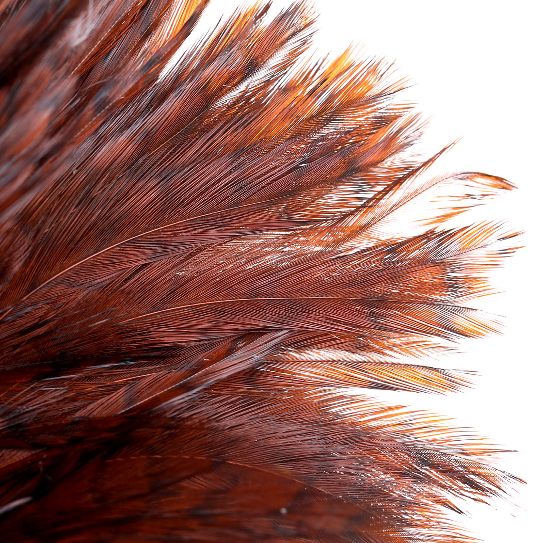 P-25382_Whiting-American-Streamer-Pack_detail-1