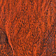 speckled orange
