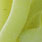 34 olive