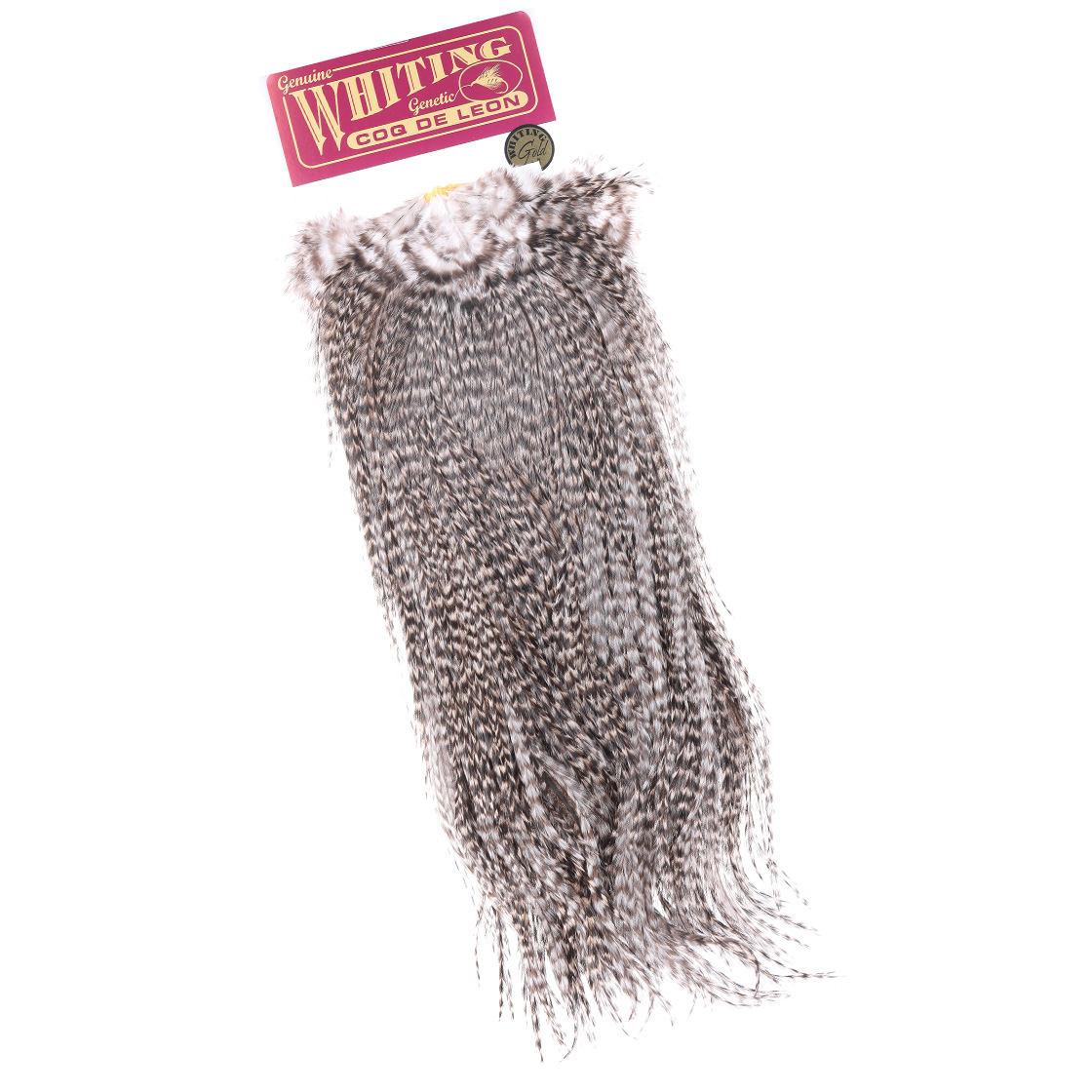 Whiting Coq De Leon Gold Grade Saddle