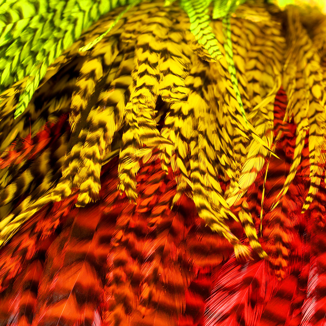 P-18885_future-fly_freshwater_rooster_saddle_grizzly_detail-2